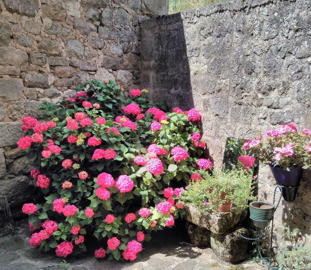 Maison D'Hotes "La Pierre Pointue" Saint-Leons ภายนอก รูปภาพ